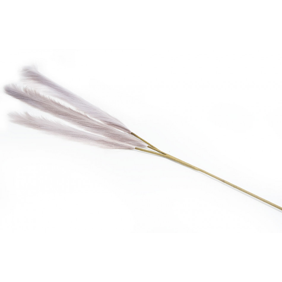 Dekoratīvs augs Malepartyus Rotfede, H140cm