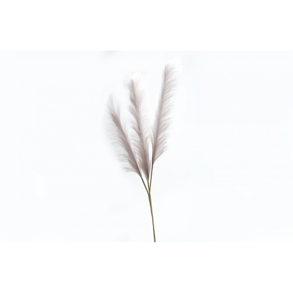 Dekoratīvs augs Malepartyus Rotfede, H140cm