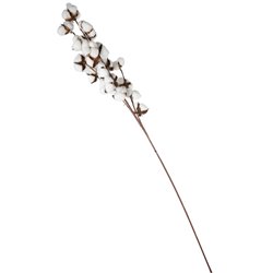 Decorative Branch Cotton, 106cm