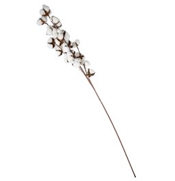 Dekoratīvs zars Branch Cotton, 106cm