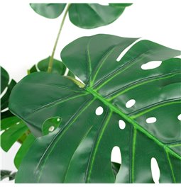 PHILO MONSTERA DELICIOSA, H110x84x79cm