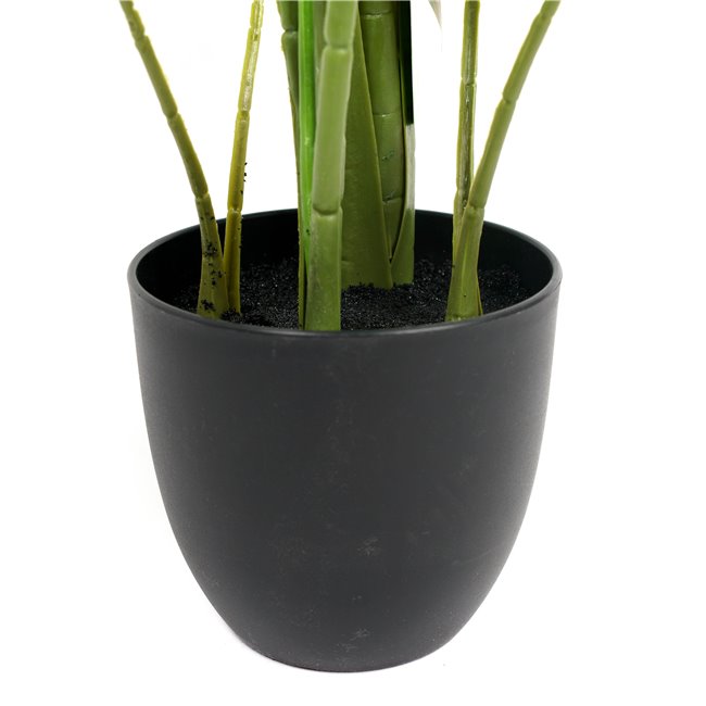 PHILO MONSTERA DELICIOSA, H110x84x79cm