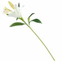 Декоративнй цветок Lily white 1, зеленый/белый, H94cm