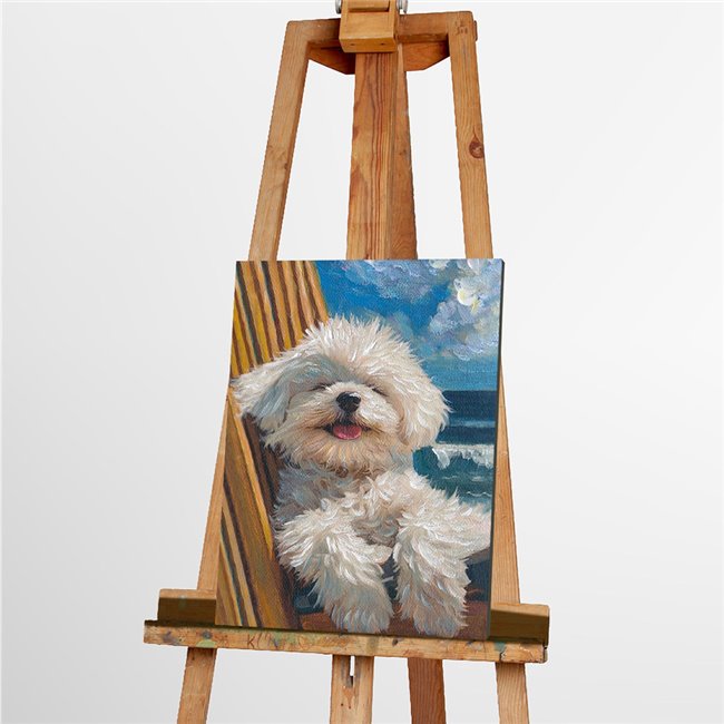 Canva Fluffy summer, 30x40cm