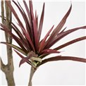 Декоративное растение Dracena, 180cm
